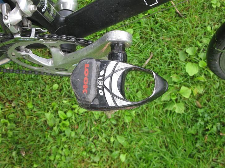 Fort ENTRY billede 6