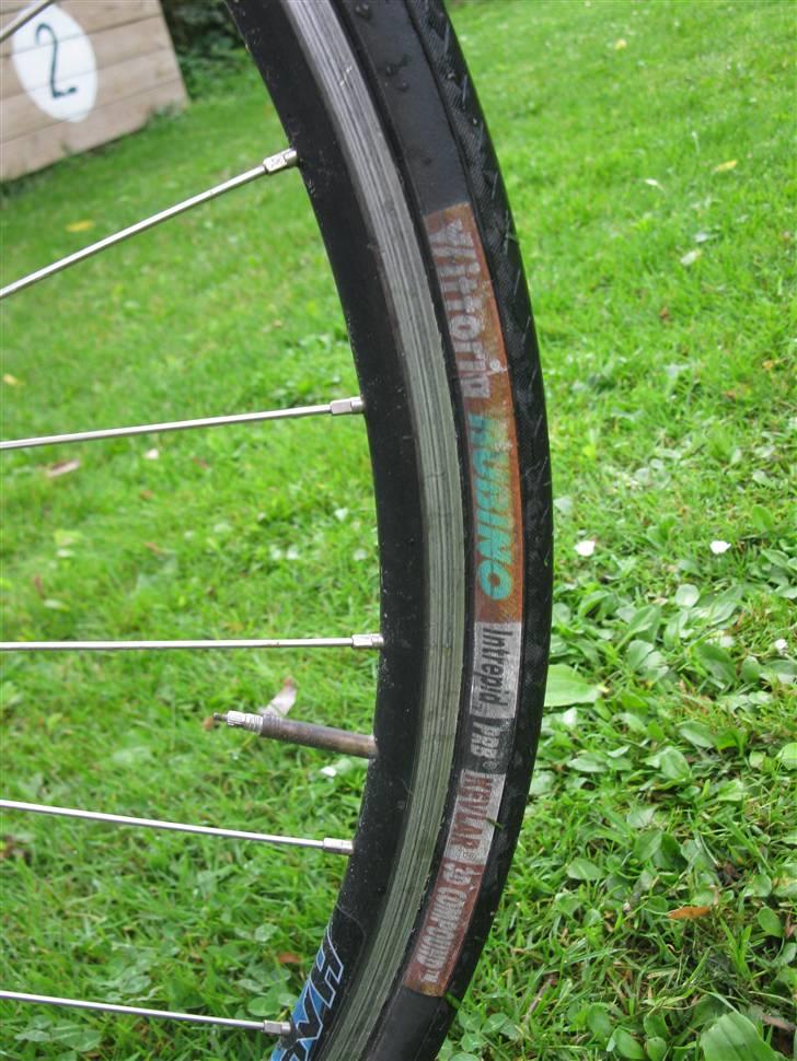 Fort ENTRY billede 8