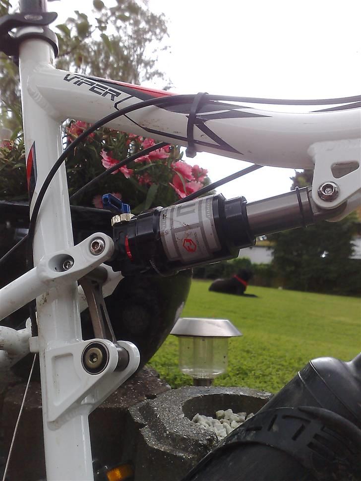 Viper Fugitif carbon flex solgt billede 20
