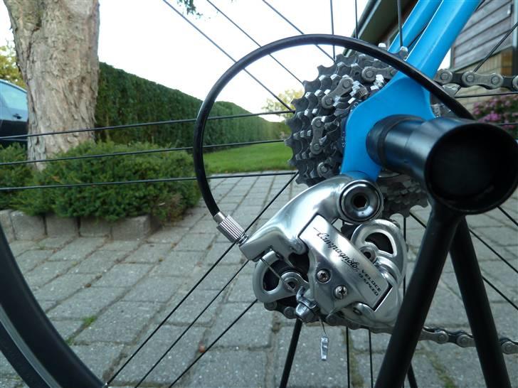 Pinarello Surprise billede 8