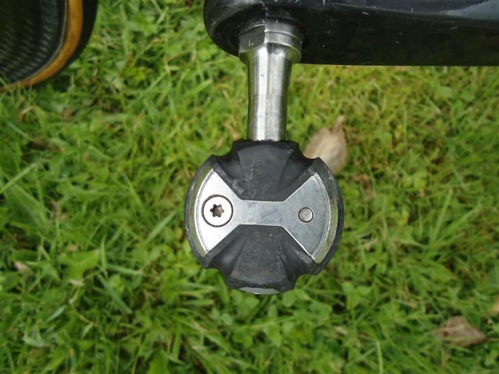 Bianchi B4P MONOQUE PROTO (DØD) billede 12