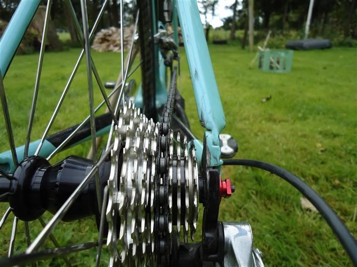 Bianchi B4P MONOQUE PROTO (DØD) billede 13