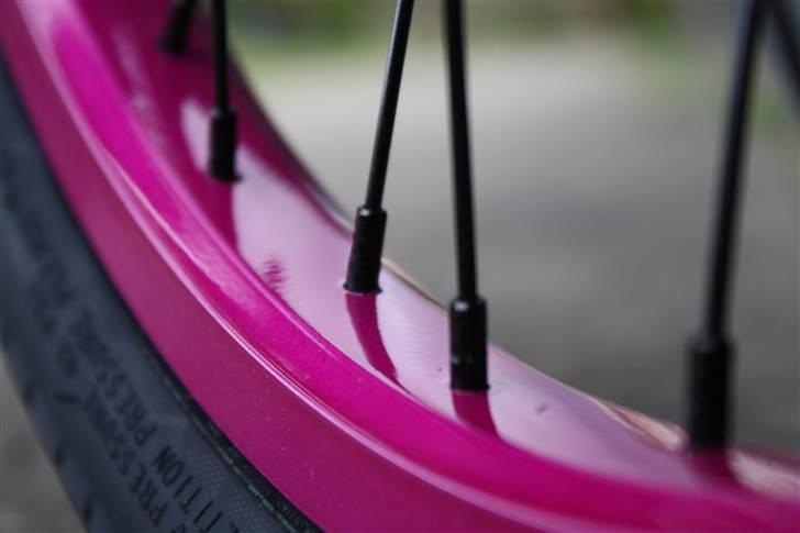 Verde - SOLGT - Prism 2011 billede 6