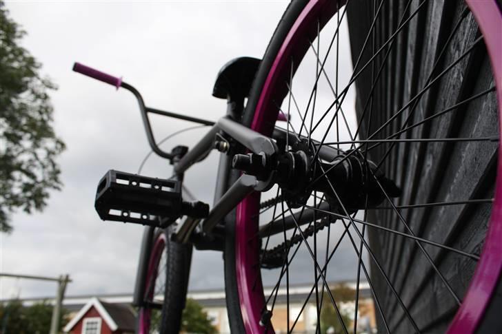 Verde - SOLGT - Prism 2011 billede 9