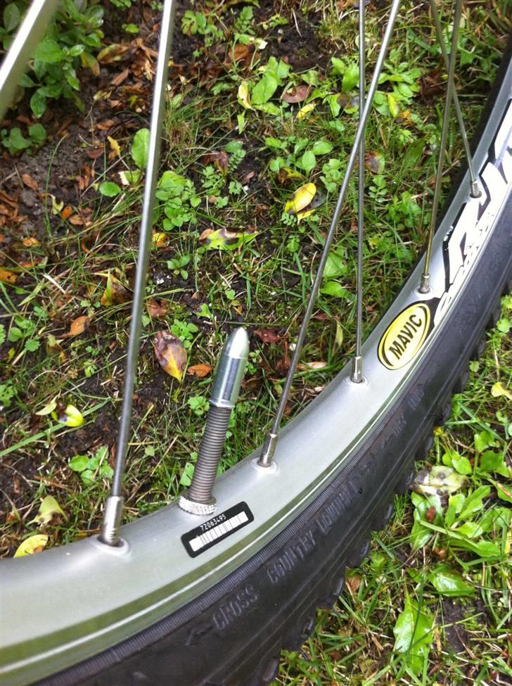 Kona hahanna billede 19