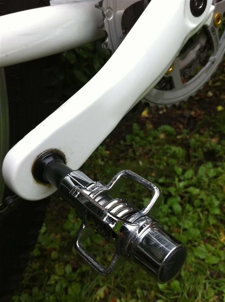 Kona hahanna billede 20