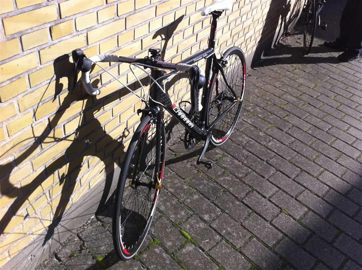Carrara Monocoque Carbon Racer billede 2