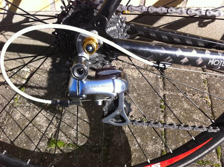 Carrara Monocoque Carbon Racer billede 8