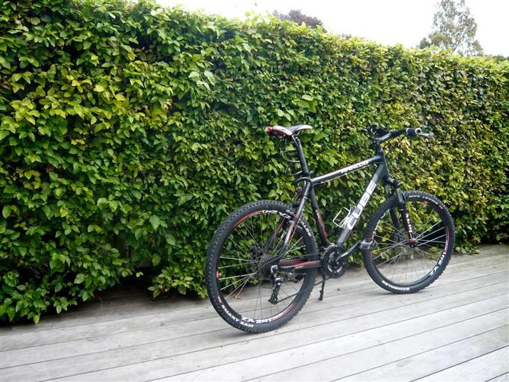 Cube                    Analog billede 3