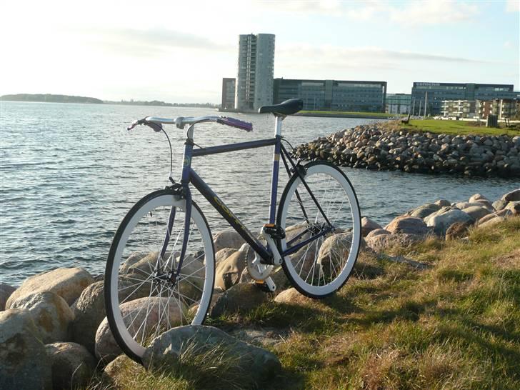 Fausto Coppi Italia (SS Projekt) billede 1