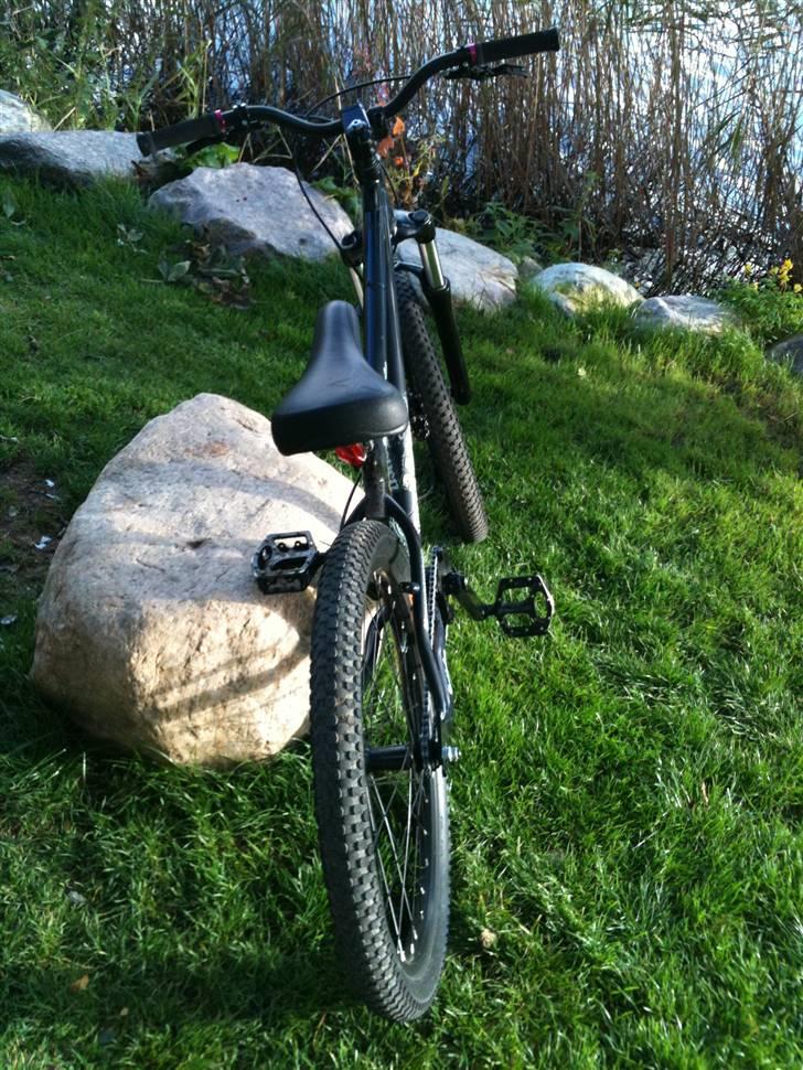 24 Bicycles 24Seven (DAS) STJÅLET - Taget på Danmarks fristad billede 3