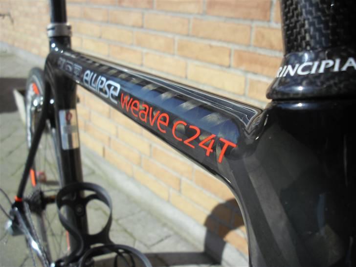 Principia Ellipse Weave C24T billede 9