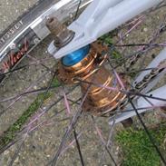 Stolen 2009 model