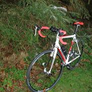 Trek 1.2