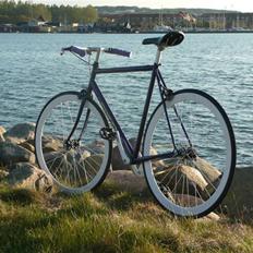 Fausto Coppi Italia (SS Projekt)