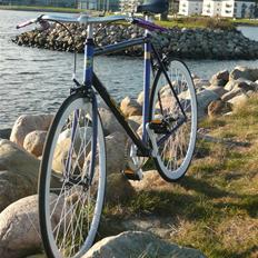Fausto Coppi Italia (SS Projekt)