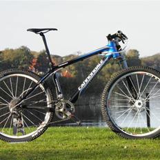 Cannondale Taurine Team