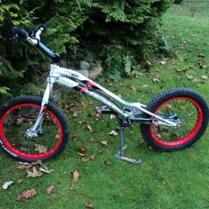 Monty 221 kamel - SOLGT -