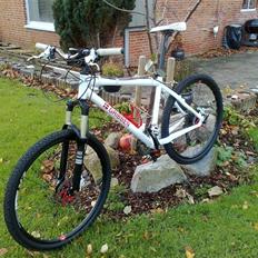 Eastern Bikes Kinesis