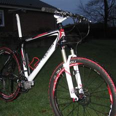 Bottecchia Pordoi FX593