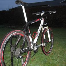 Bottecchia Pordoi FX593