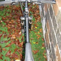 Busetto pro-low