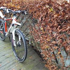 Cube             LTD Team 2010