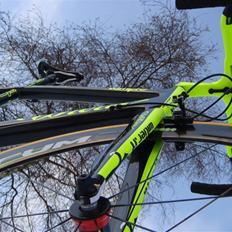 Wilier Centro 1 superliga