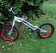 Monty 221 kamel - SOLGT -