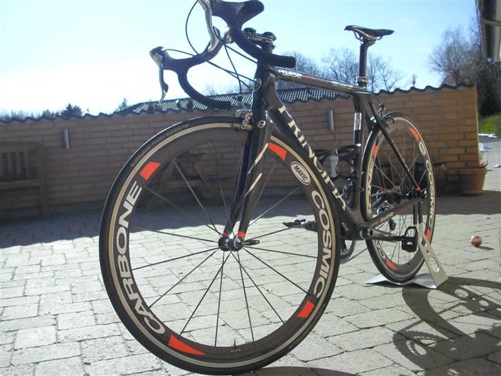 Principia Ellipse Weave C24T billede 10