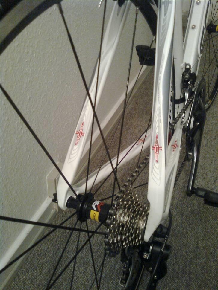 Scott cr1 team billede 8