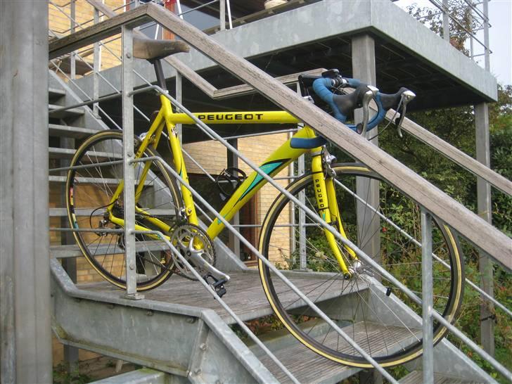 Peugeot Yoke Power billede 2
