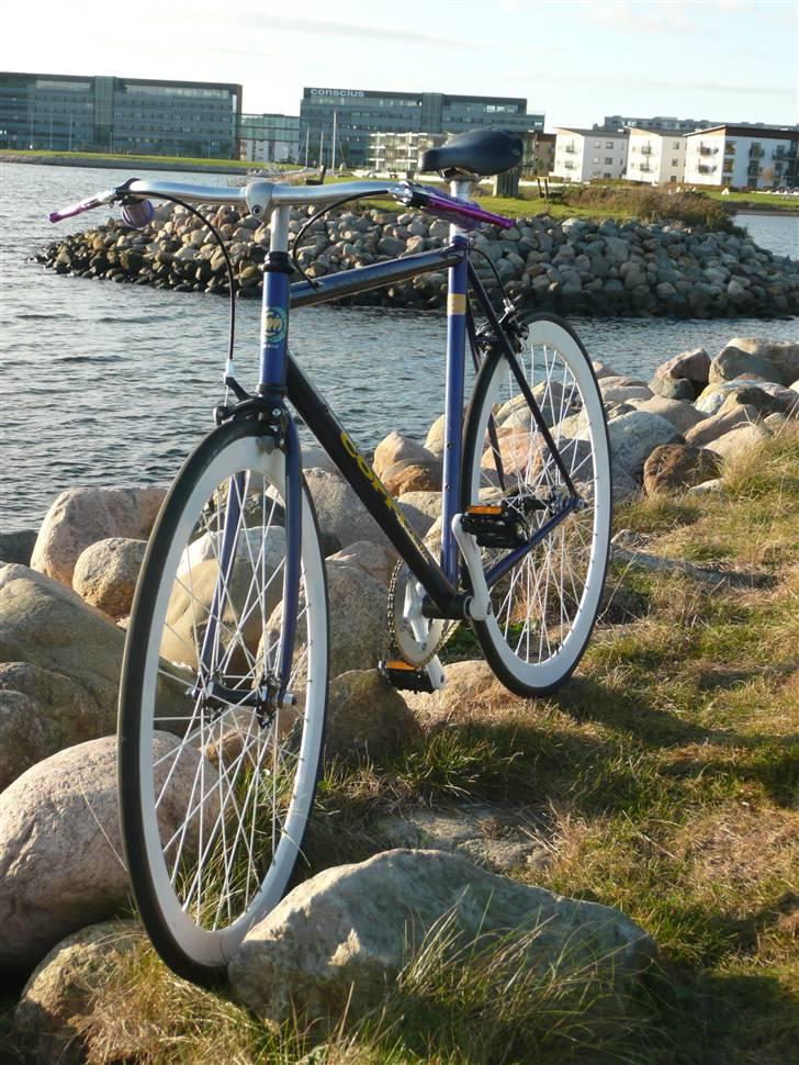 Fausto Coppi Italia (SS Projekt) billede 3