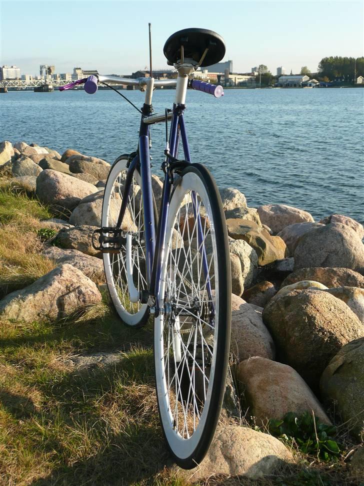 Fausto Coppi Italia (SS Projekt) billede 4