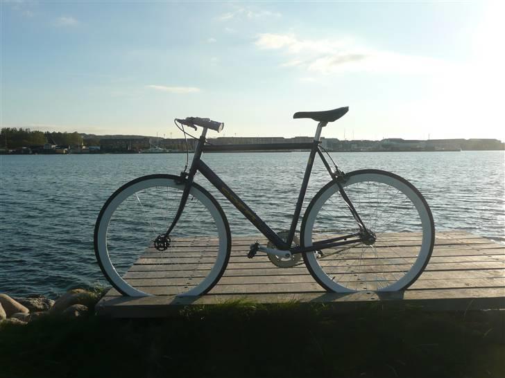 Fausto Coppi Italia (SS Projekt) billede 5