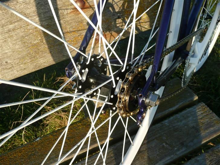 Fausto Coppi Italia (SS Projekt) billede 10