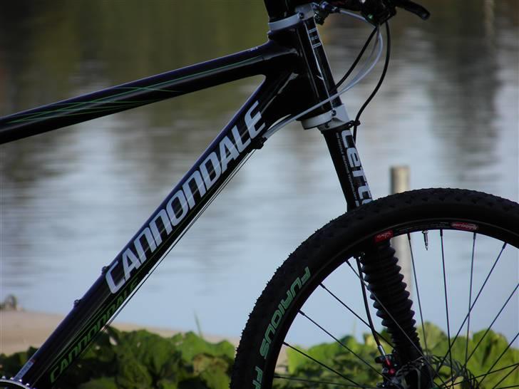 Cannondale Flash billede 8