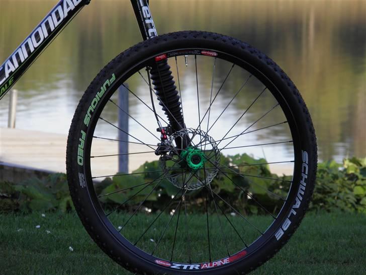 Cannondale Flash billede 10