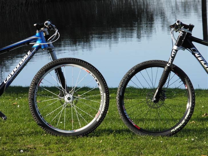 Cannondale Flash billede 12