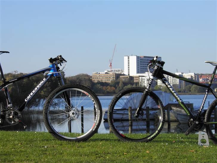 Cannondale Flash billede 13