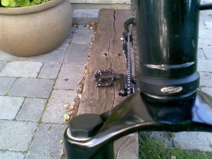 24 Bicycles 24Seven (DAS) STJÅLET billede 13