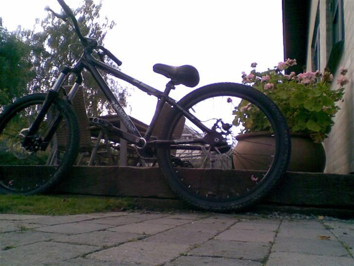 24 Bicycles 24Seven (DAS) STJÅLET billede 14