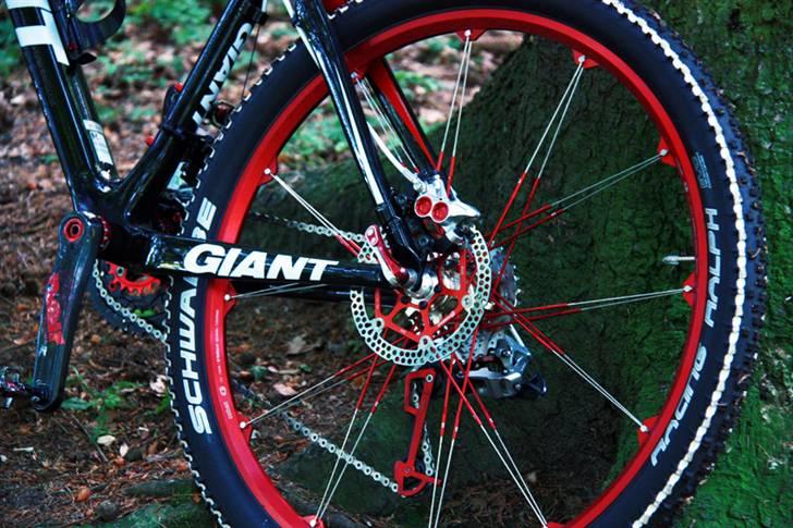 Giant Advanced Custom billede 20