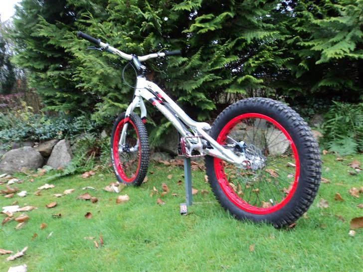 Monty 221 kamel - SOLGT - - Cyklen billede 2