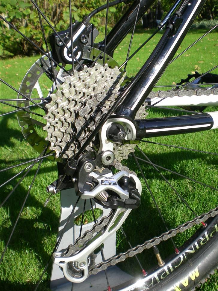 Principia MXC e billede 5
