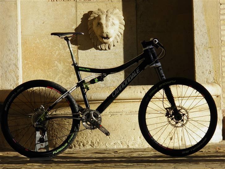 Cannondale SCALPEL TEAM billede 13