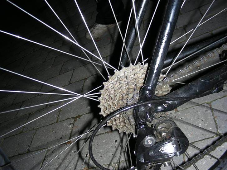 Specialized HardRock Comp. billede 7