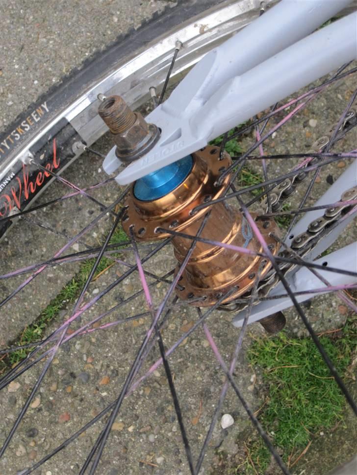 Stolen 2009 model billede 5