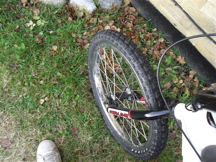 Redline race billede 3