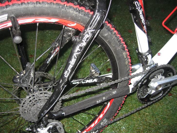 Bottecchia Pordoi FX593 billede 10
